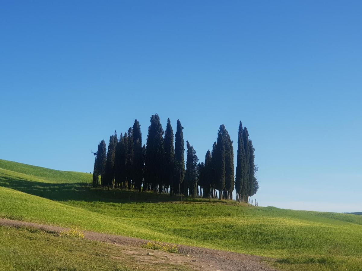 Апартаменты Casa Per L'Osticcio Vista Sulla Val D'Orcia Монтальчино Экстерьер фото