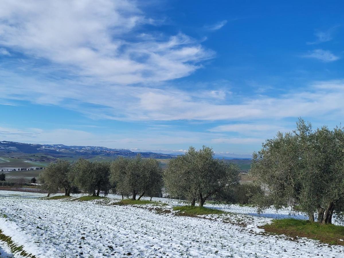 Апартаменты Casa Per L'Osticcio Vista Sulla Val D'Orcia Монтальчино Экстерьер фото