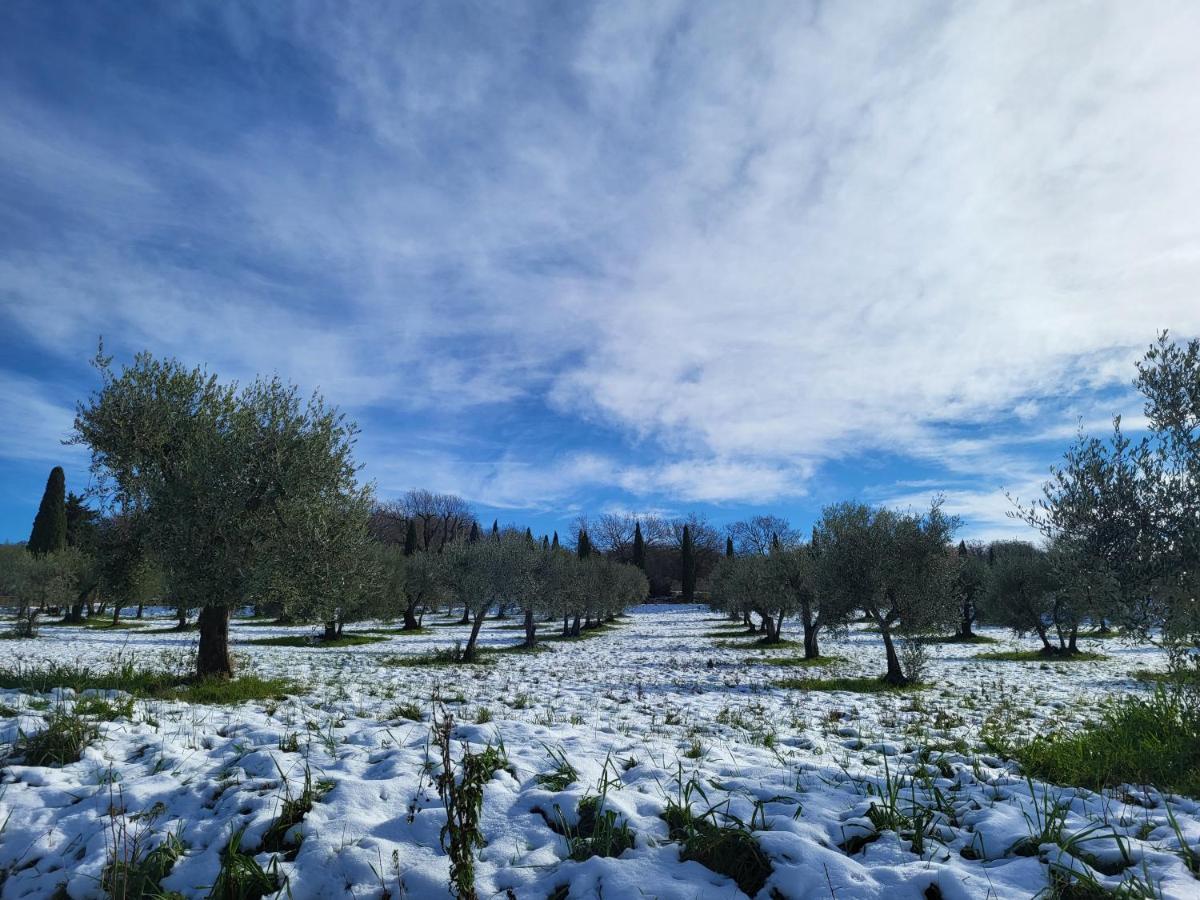 Апартаменты Casa Per L'Osticcio Vista Sulla Val D'Orcia Монтальчино Экстерьер фото